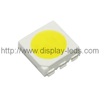 5050 PLCC6 Top SMD LED in White